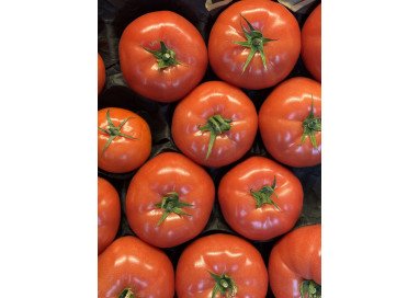 Egzotyczny Box Odkrywcy – nietypowe owoce egzotyczne | Skrzyneczka