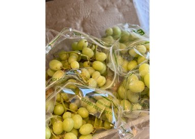 Winogrona bezpestkowe